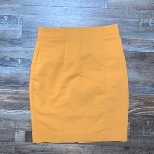 ✨ Pencil Skirt